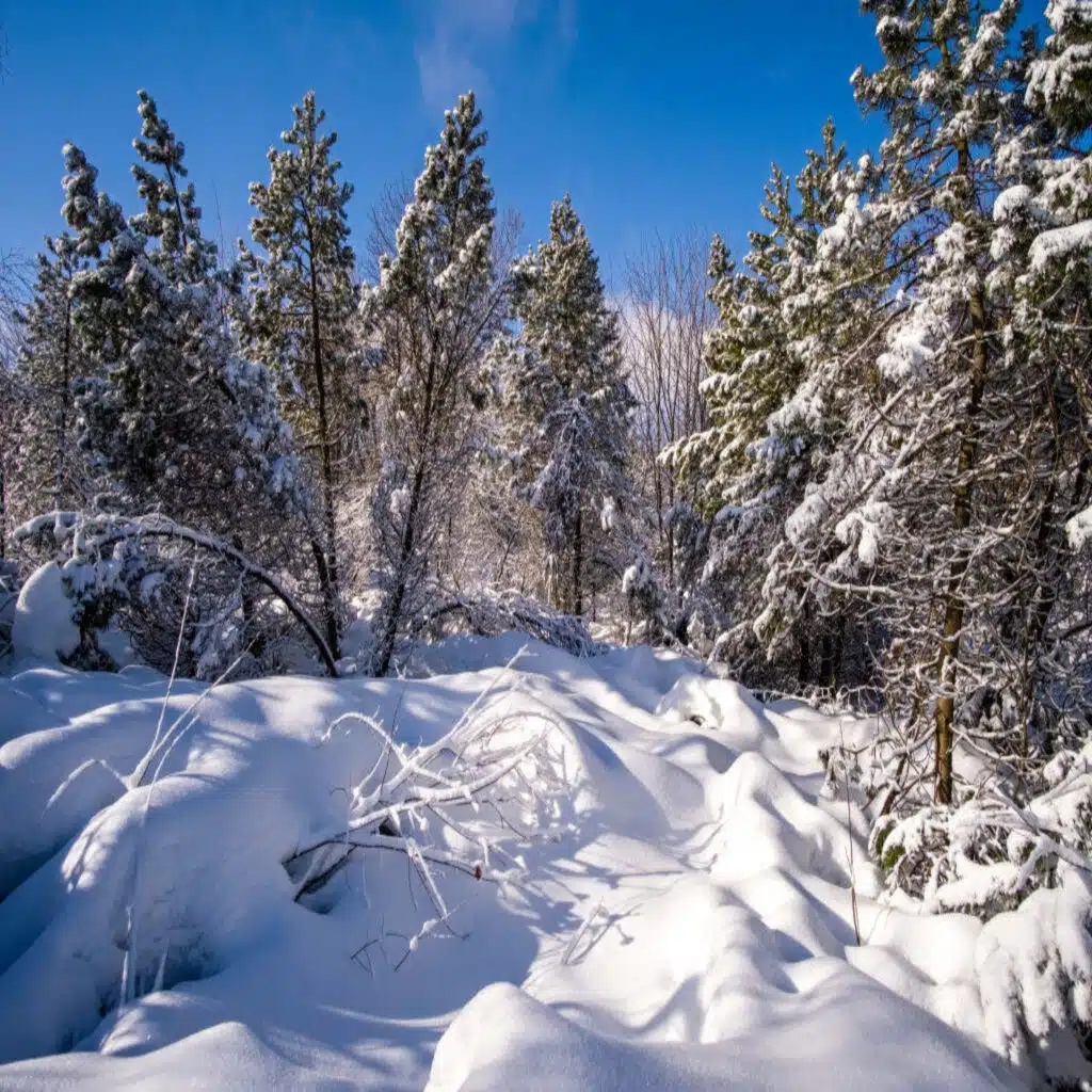 Woniya Thibeault survived extreme cold and isolation to become a winner