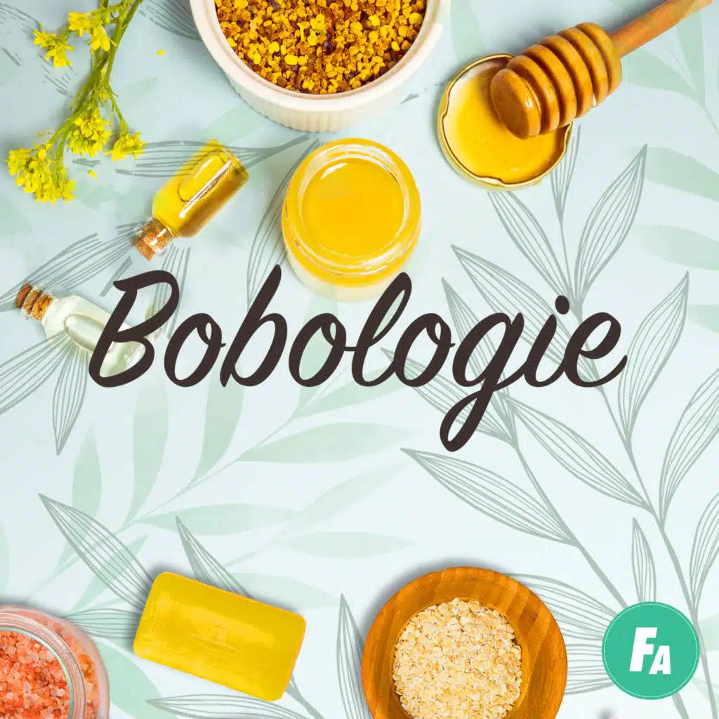 Bobologie - Teaser