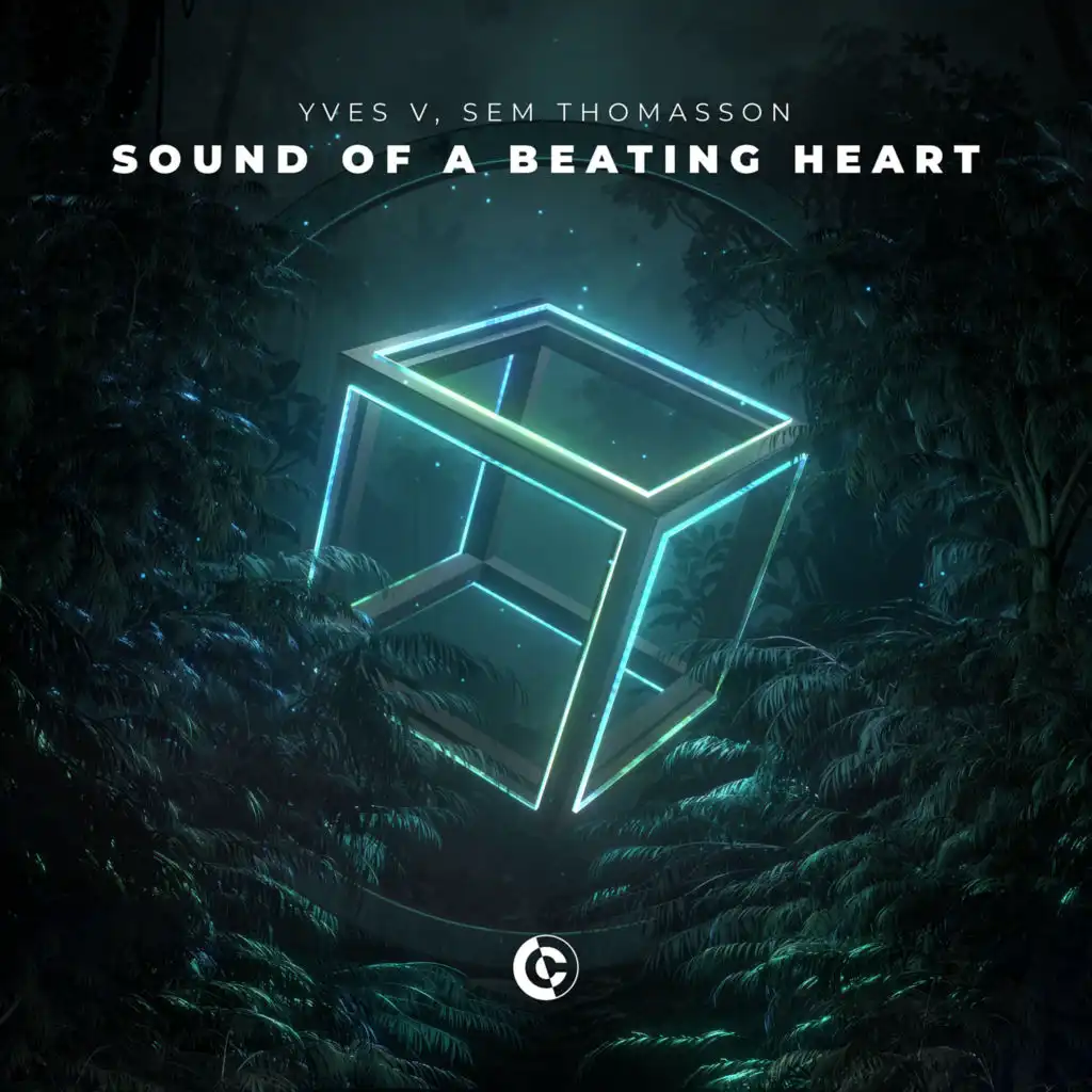 Sound Of A Beating Heart