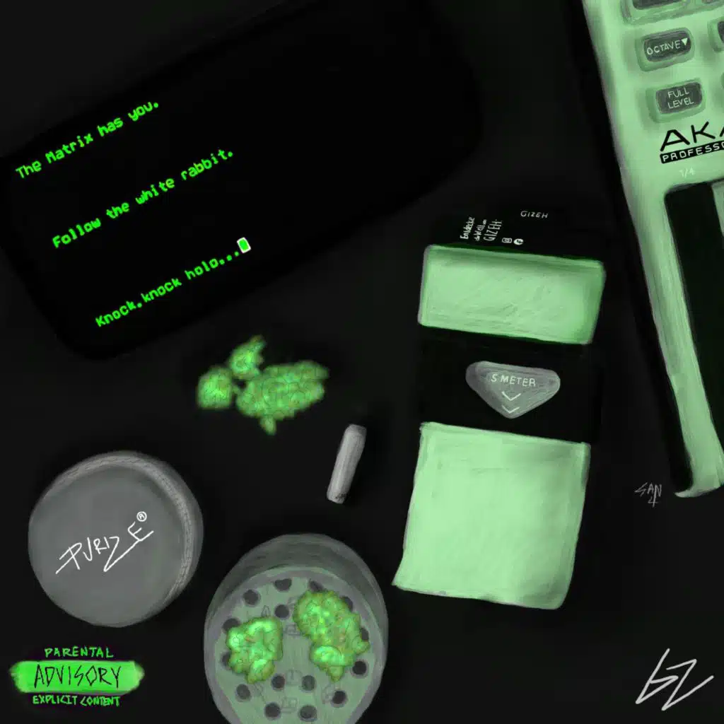 follow the white rabbit