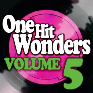 One Hit Wonders - Vol. 5
