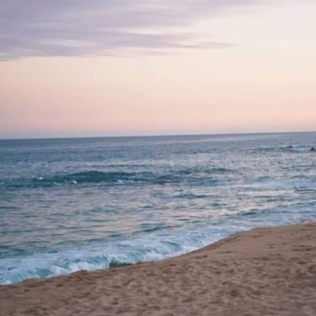 انت عمري ريمكس