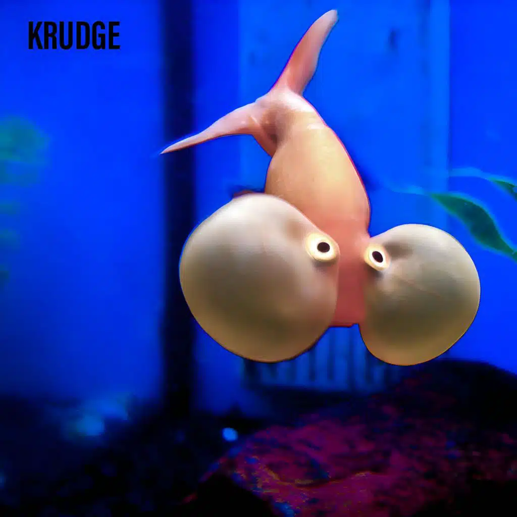 Swimming in a Sea of Sound