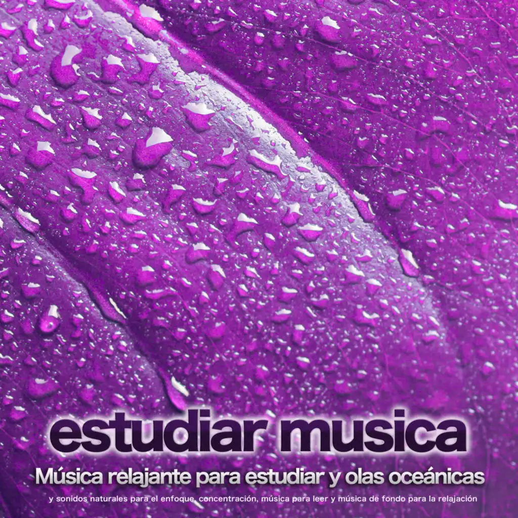 Sonidos de lluvia para estudiar - Estudiar musica