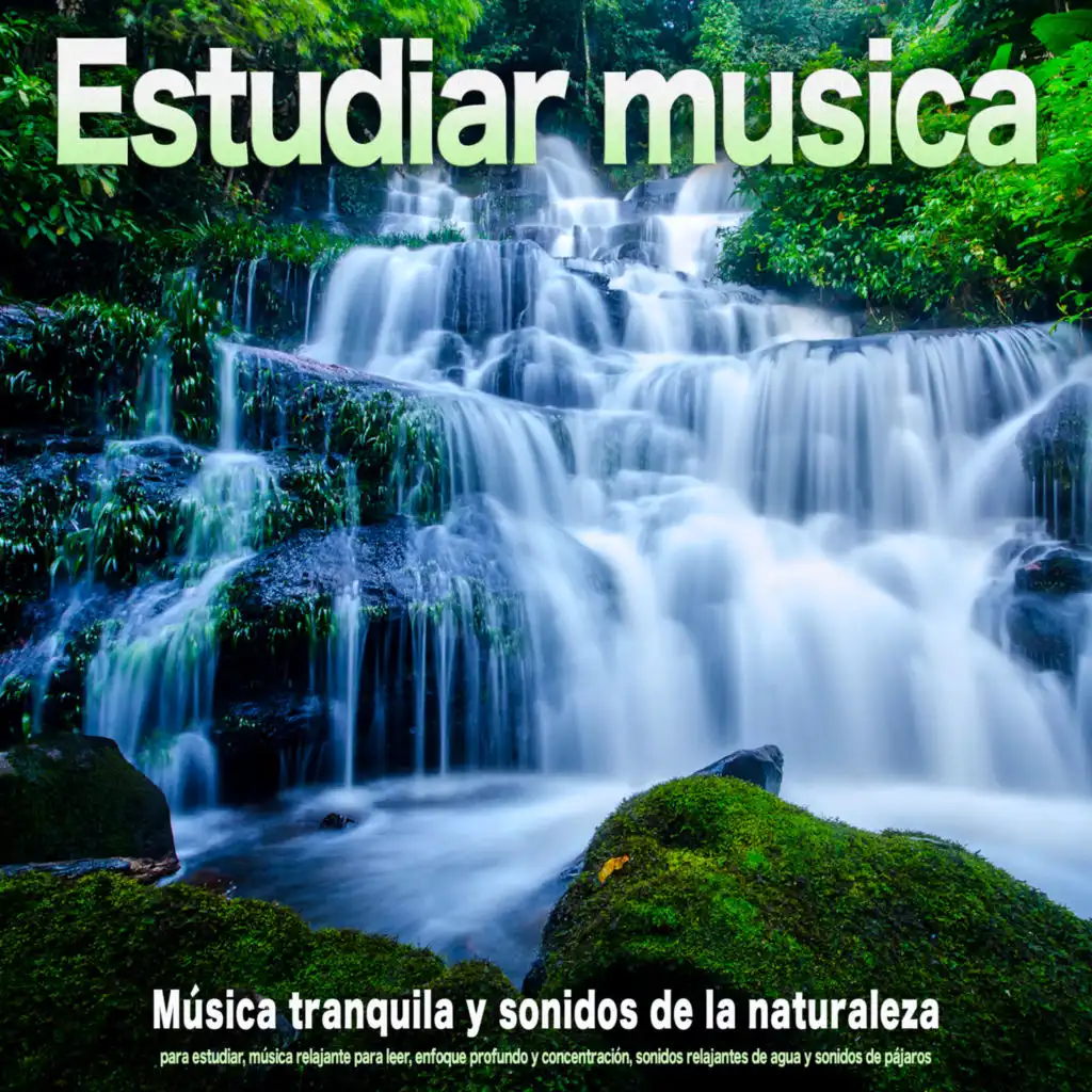 Música tranquila y sonidos relajantes de agua - Estudiar música