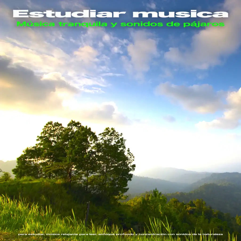 Sonidos de la naturaleza - Estudiar Música