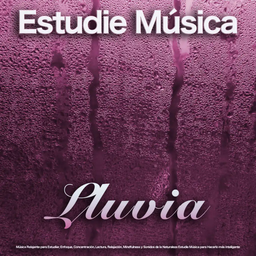 Estudie Música