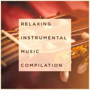 Relaxing Instrumental Music Compilation