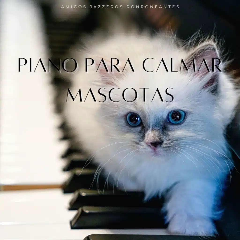 Piano Para Calmar Mascotas: Amigos Jazzeros Ronroneantes