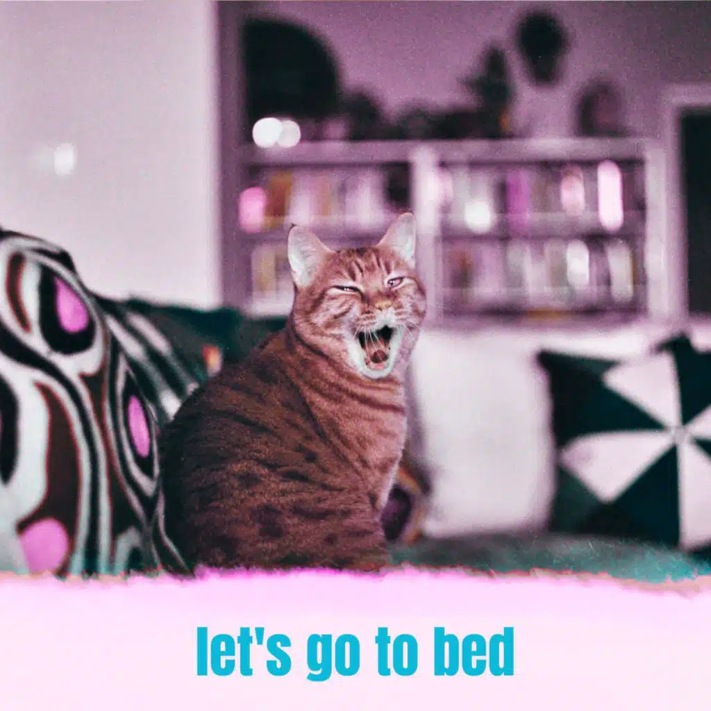 Let's go to bed (Instrumental)