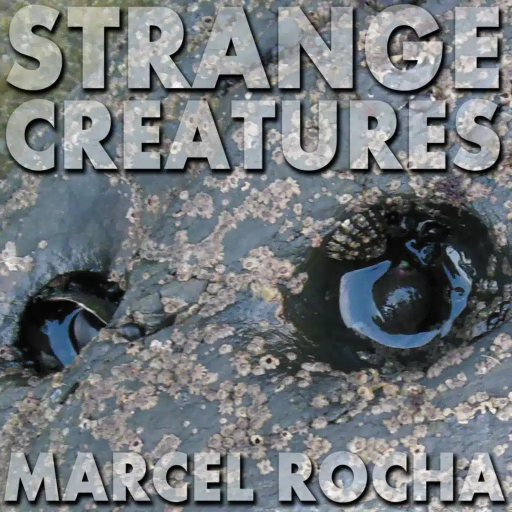 Strange creatures