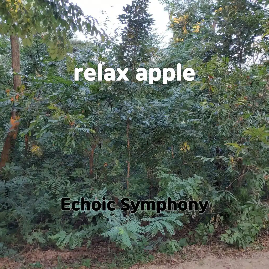 Echoic Symphony