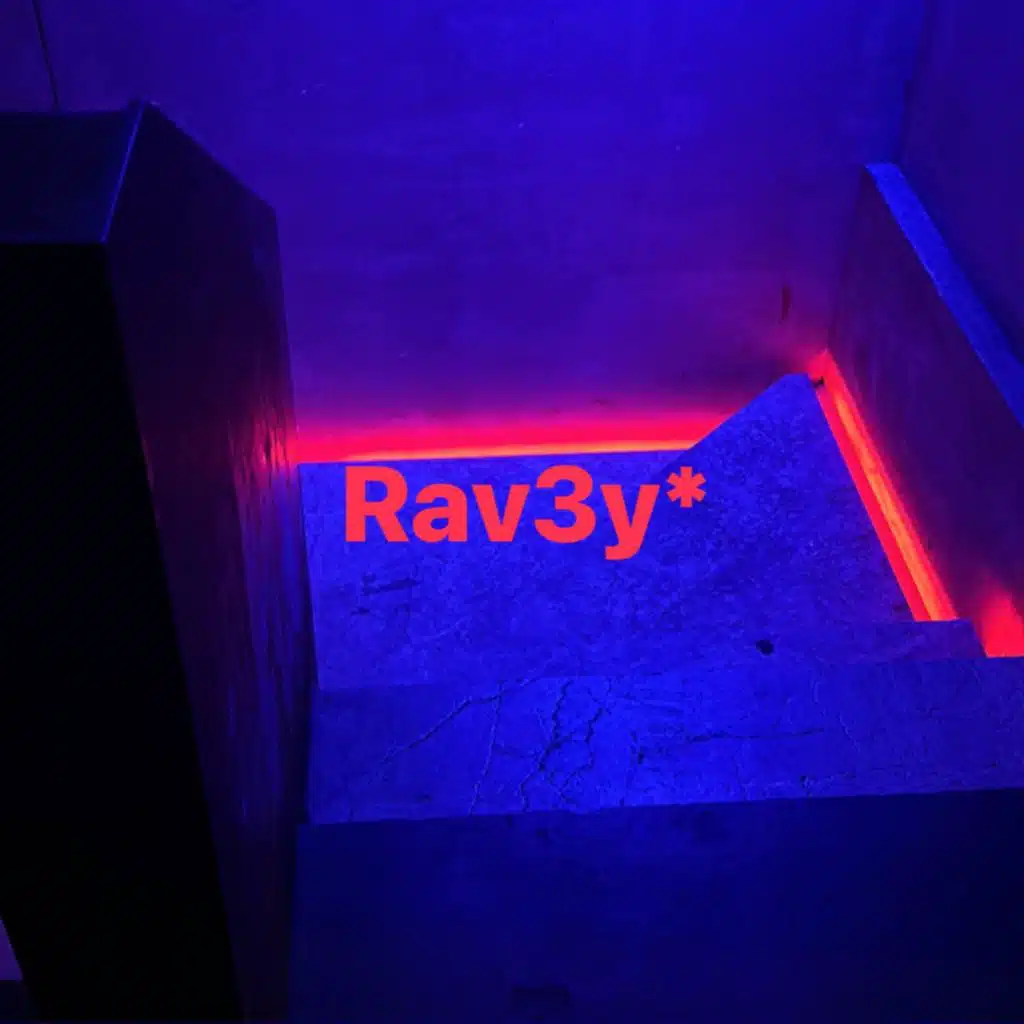 Rav3y*