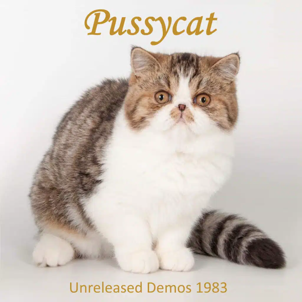 Pussycat