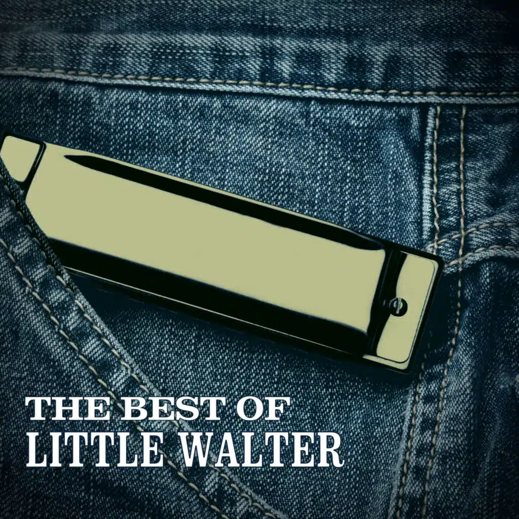 The Best of Little Walter