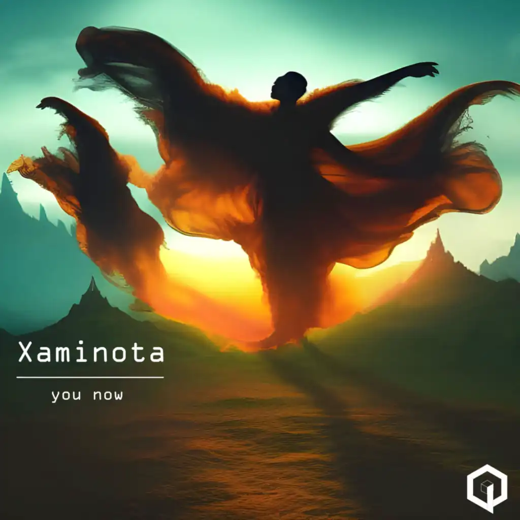 Xaminota