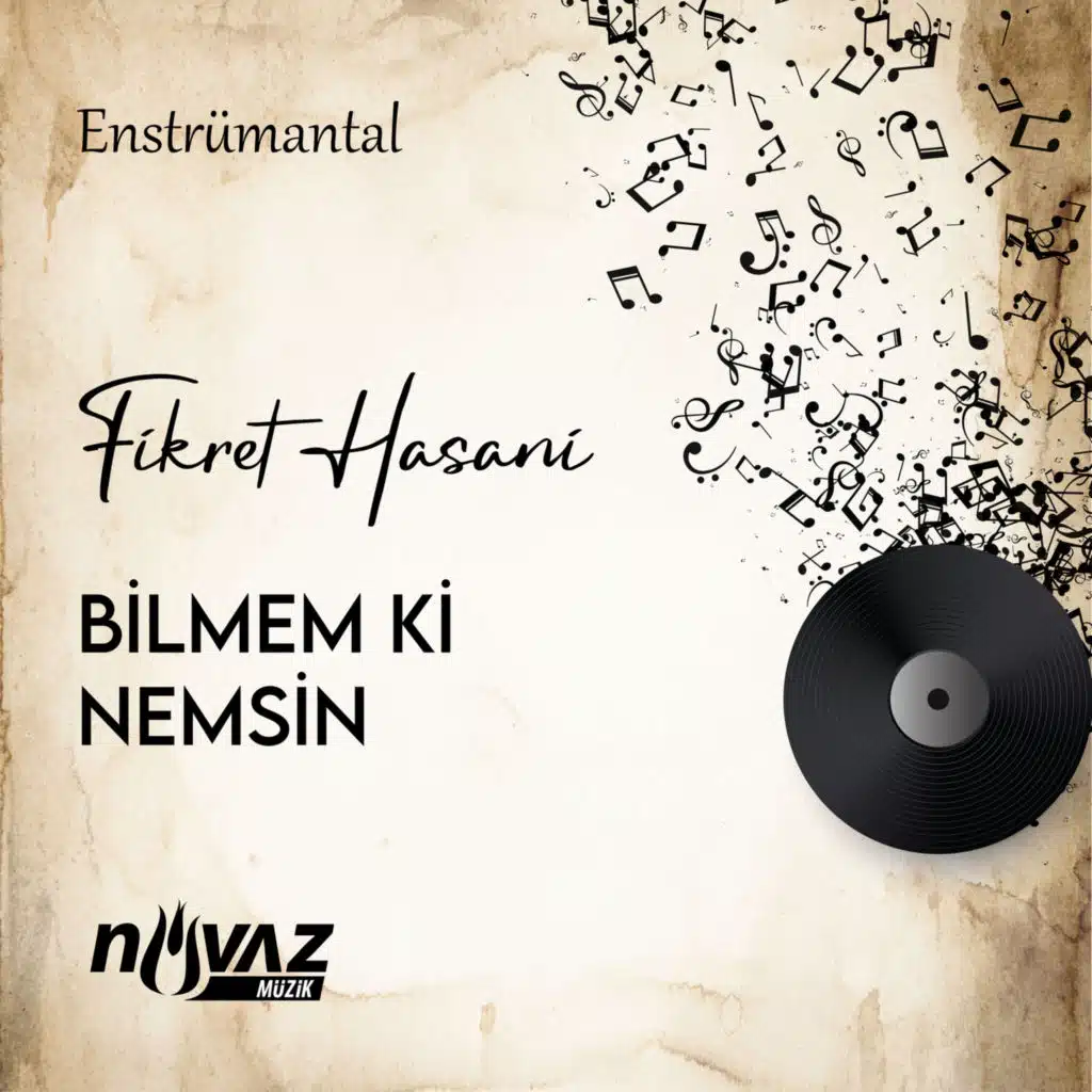 Bilmem ki Nemsin (Enstrümantal)
