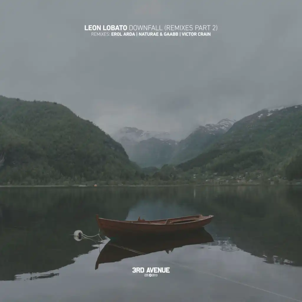 Downfall (Erol Arda Remix)
