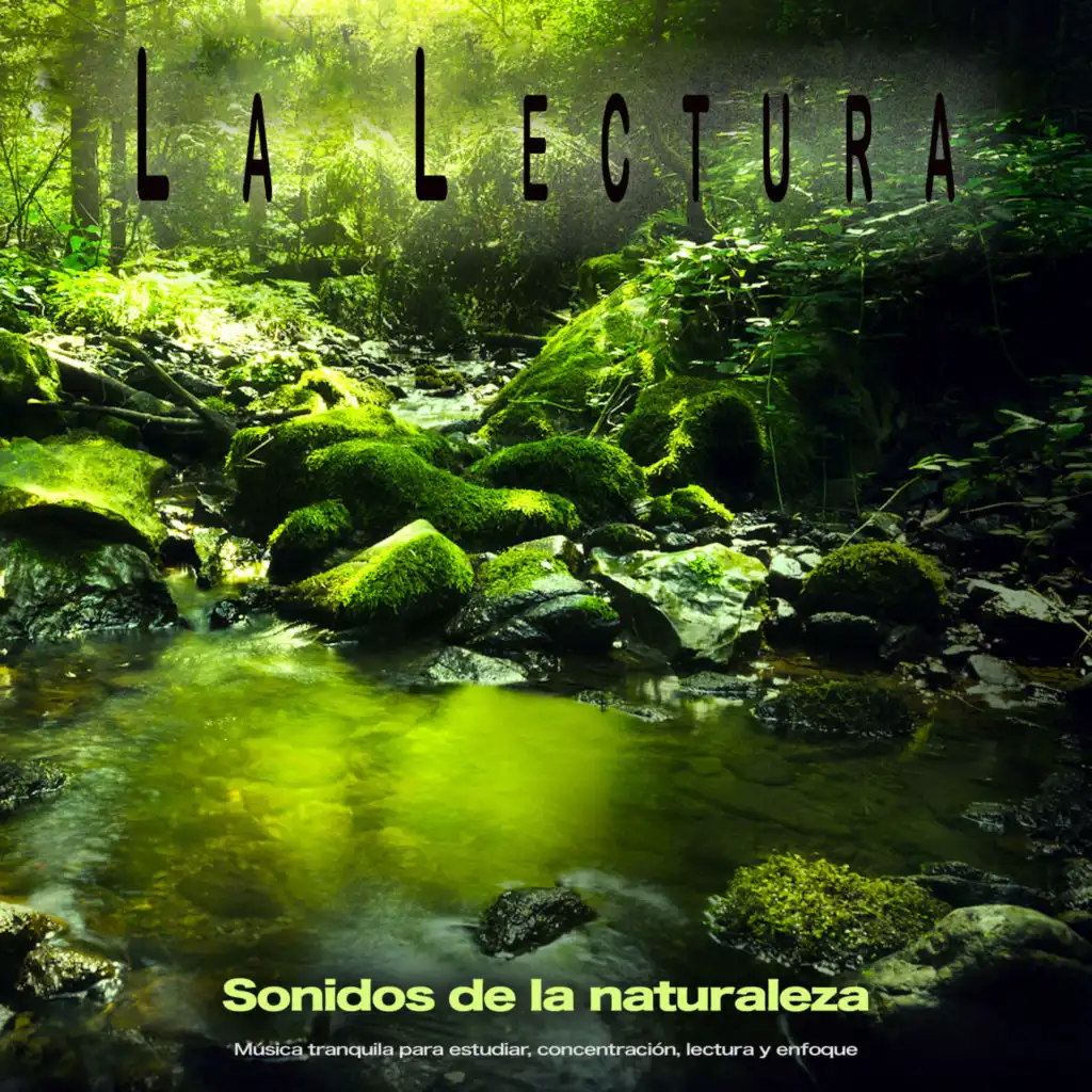 Sonidos de la naturaleza - Música para concentrarse