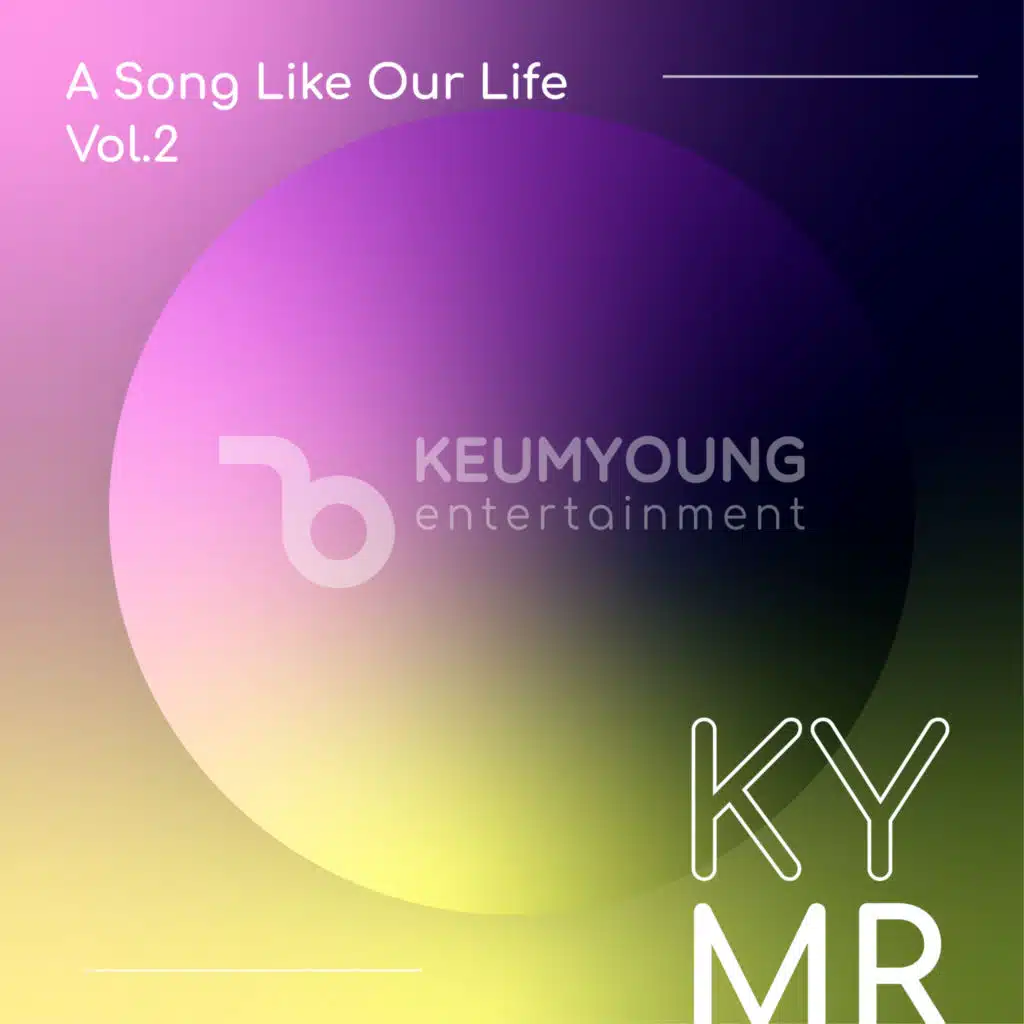 A Song Like Our Life Vol.2