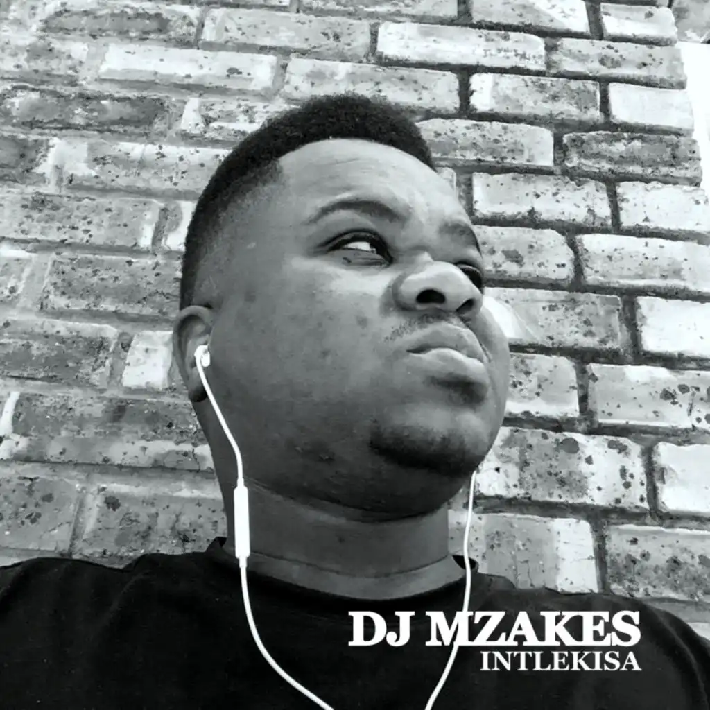 Dj Mzakes