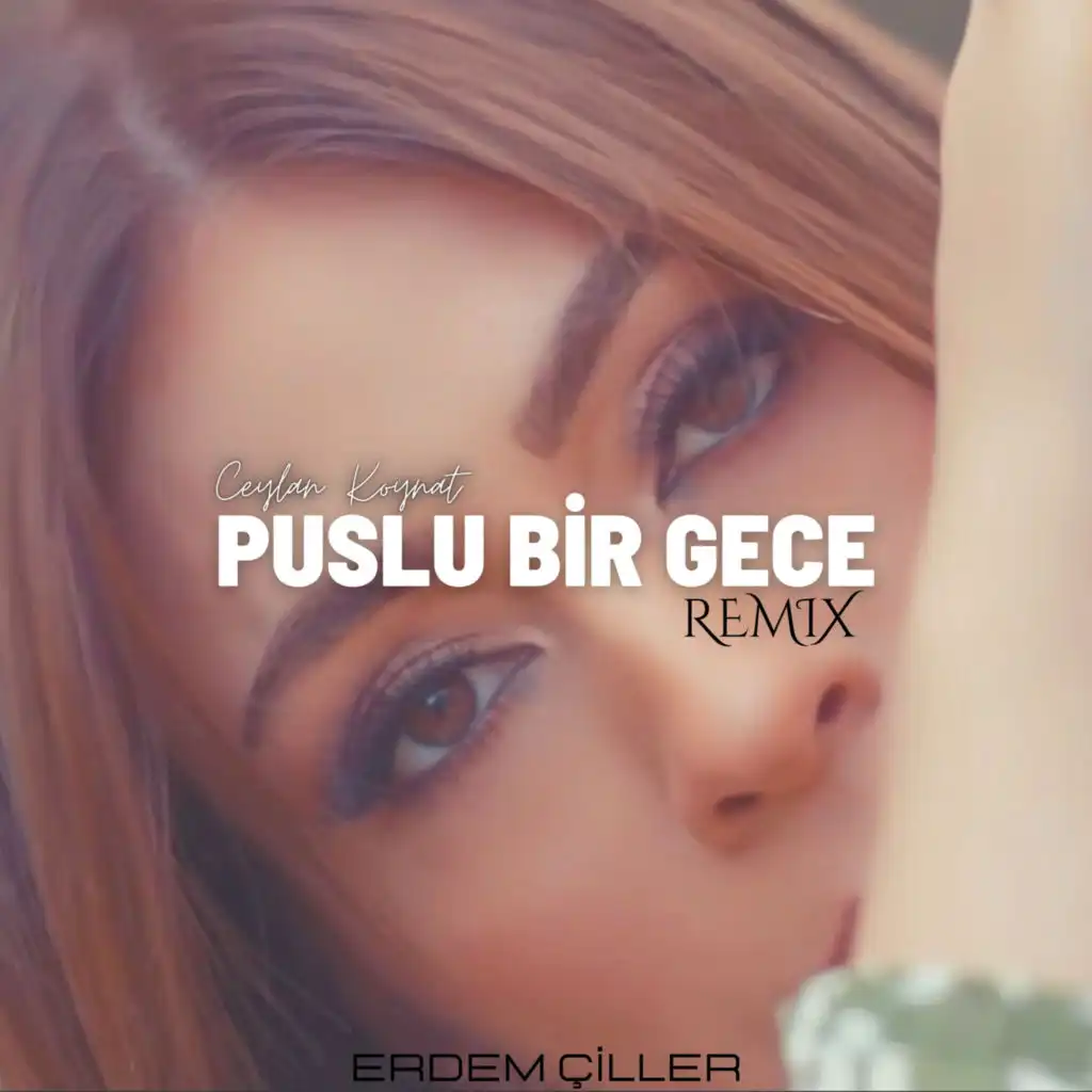 Puslu Bir Gece (Remix) [feat. Erdem Çiller]