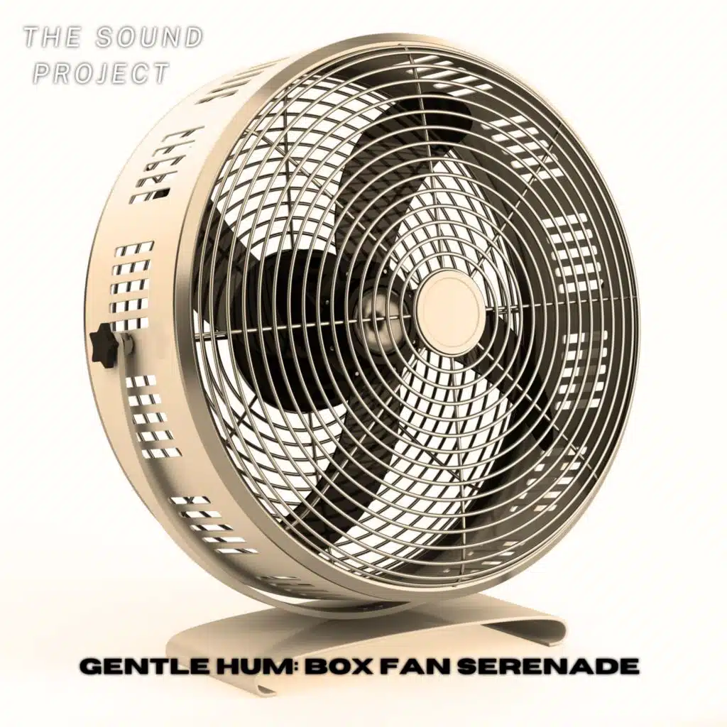 The Sound Project