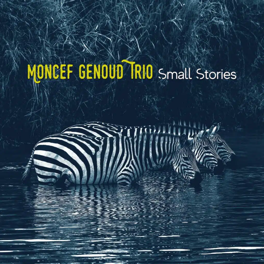 Moncef Genoud Trio