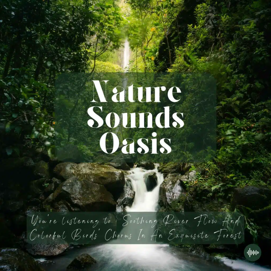 A Mesmerizing River Flowing In An Exquisite Forest | Nature Sounds For Sleep, Meditation, Relaxation Or Focus | Singing Birds, Sleep Sounds, Relaxing ...
