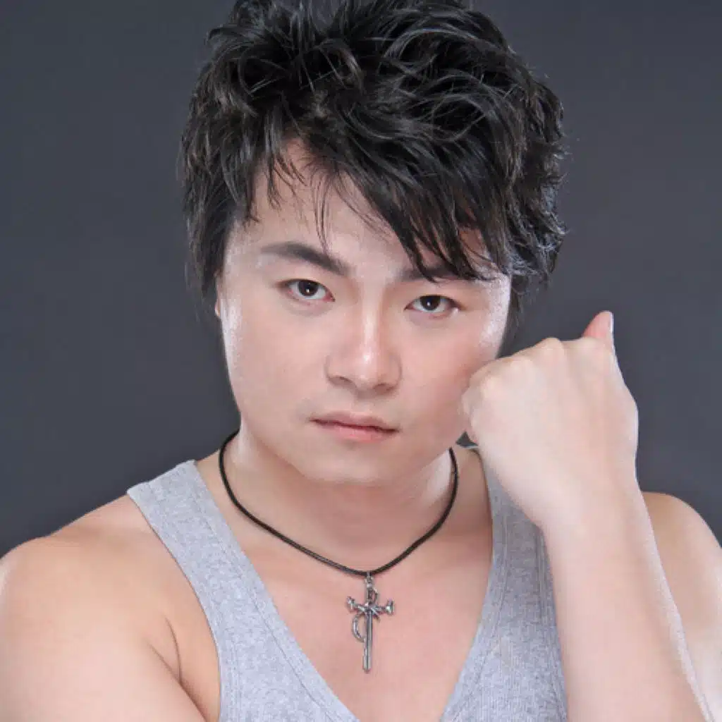 刘超华歌曲集 (DJ版)