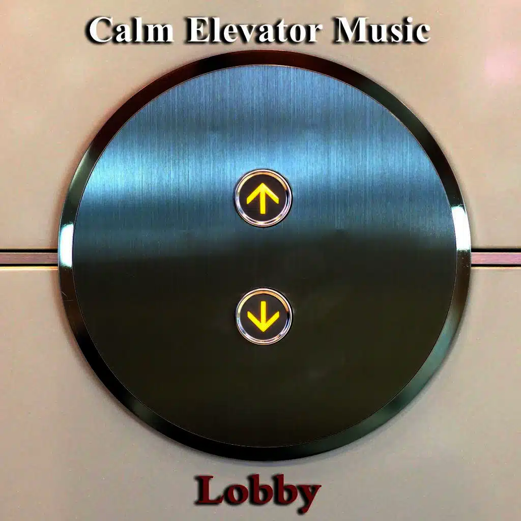 Music for Lifts Going Up & Down