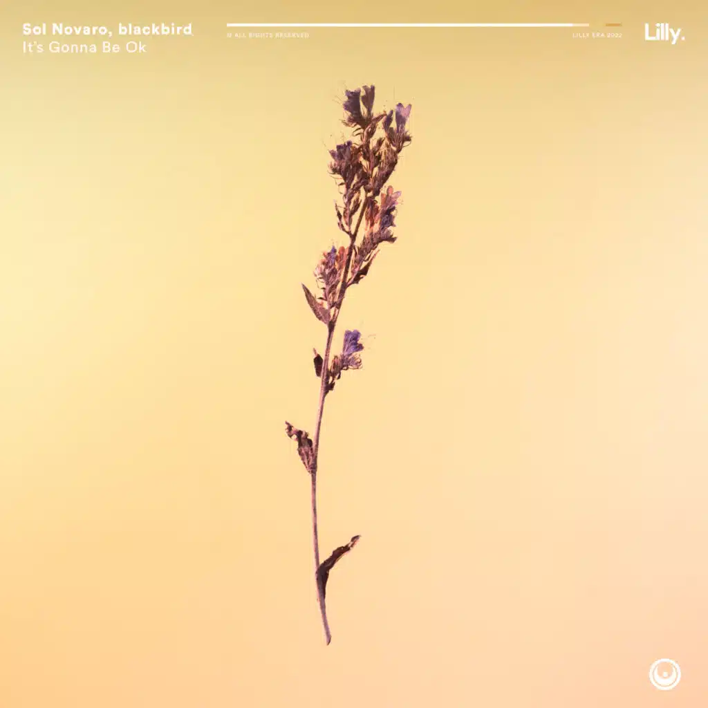 Sol Novaro & Angie Robba