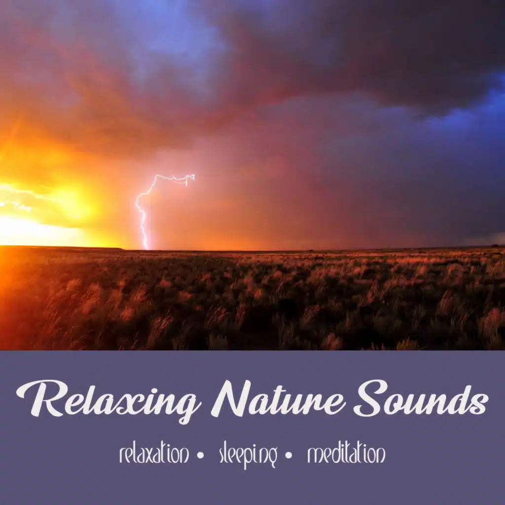 Rainy Season Is Here | 3 Hours