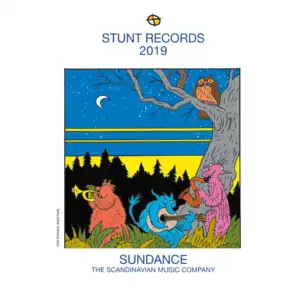 Stunt Records Compilation 2019, Vol. 27