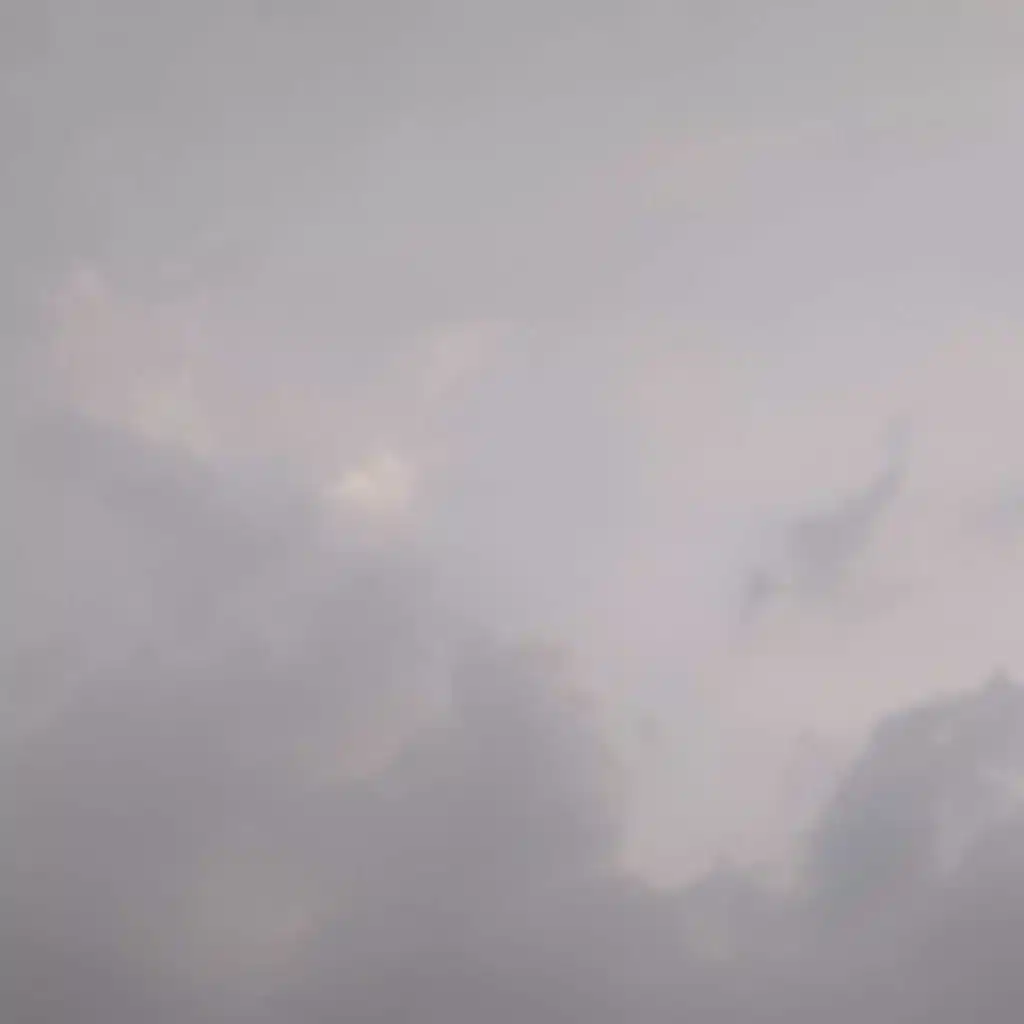 下过了雨