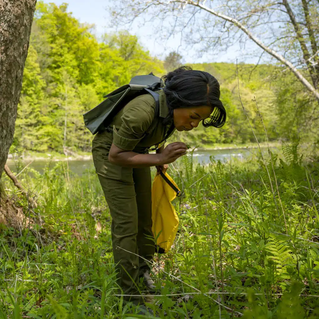 Foraging with Chrissy Tracey and Mohegan elder Chris “Painted Turtle” Harris