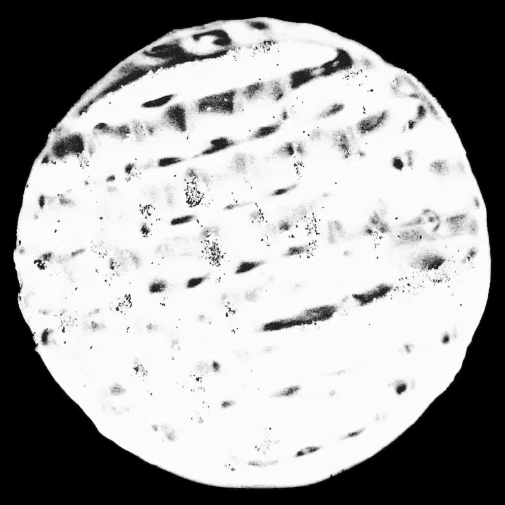 Sagrada (Gossamer Edit)