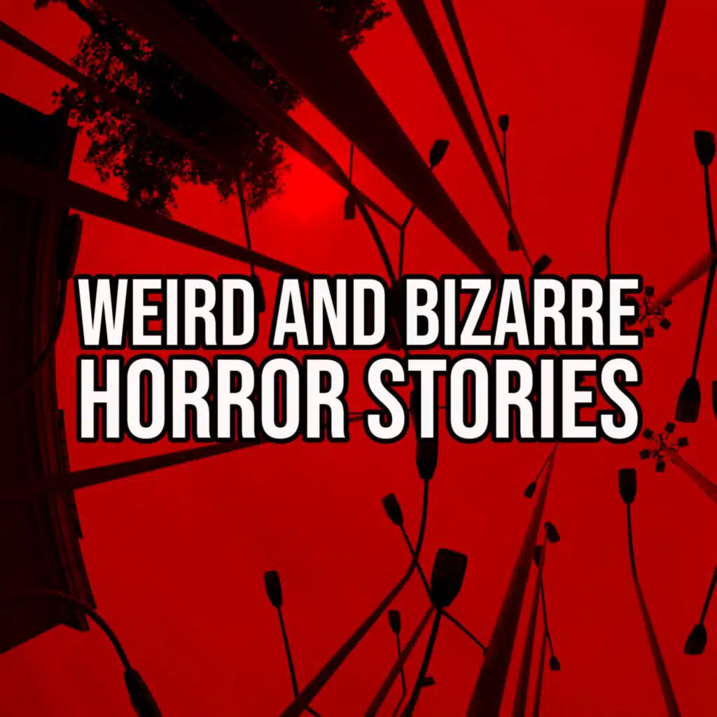 S2 Ep89: Episode 89: Weird and Bizarre Horror Stories