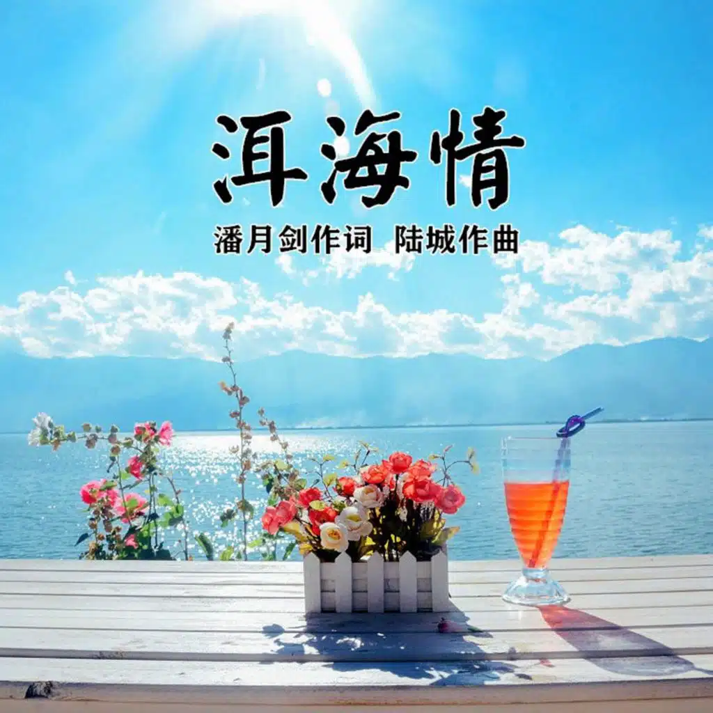 洱海情 (二重唱版)