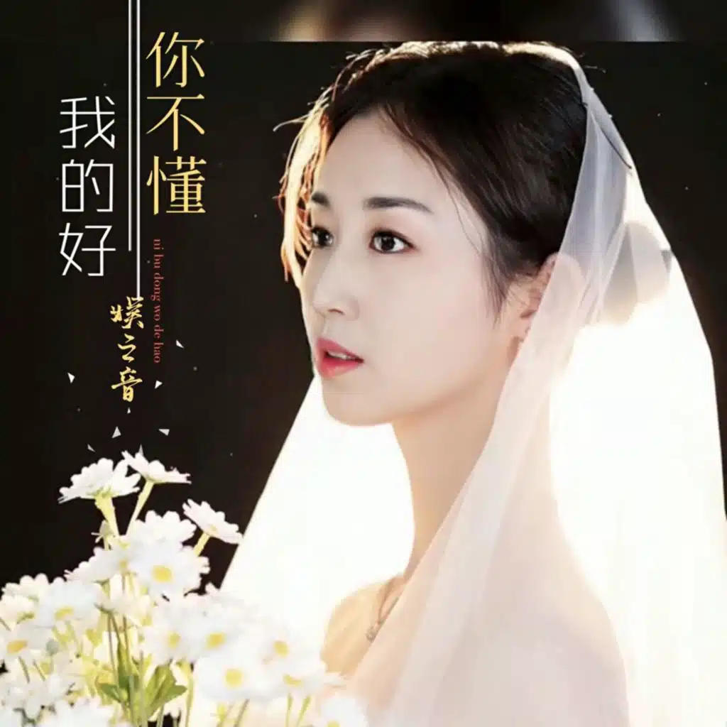 你不懂我的好 (伴奏)