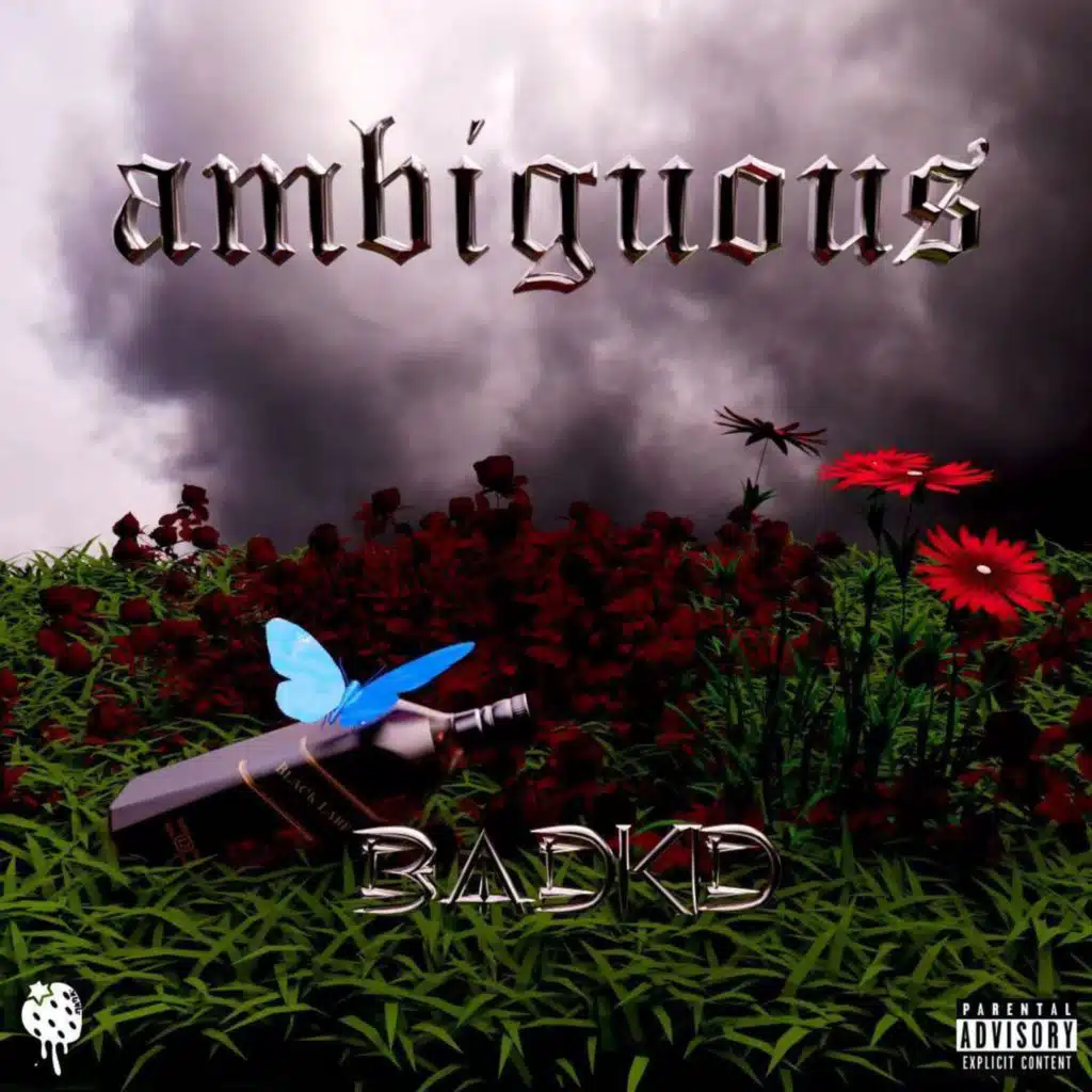 模糊ambiguous