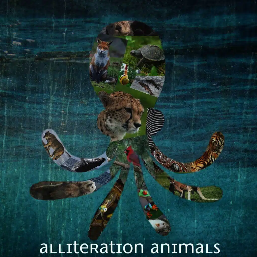 Alliteration Animals