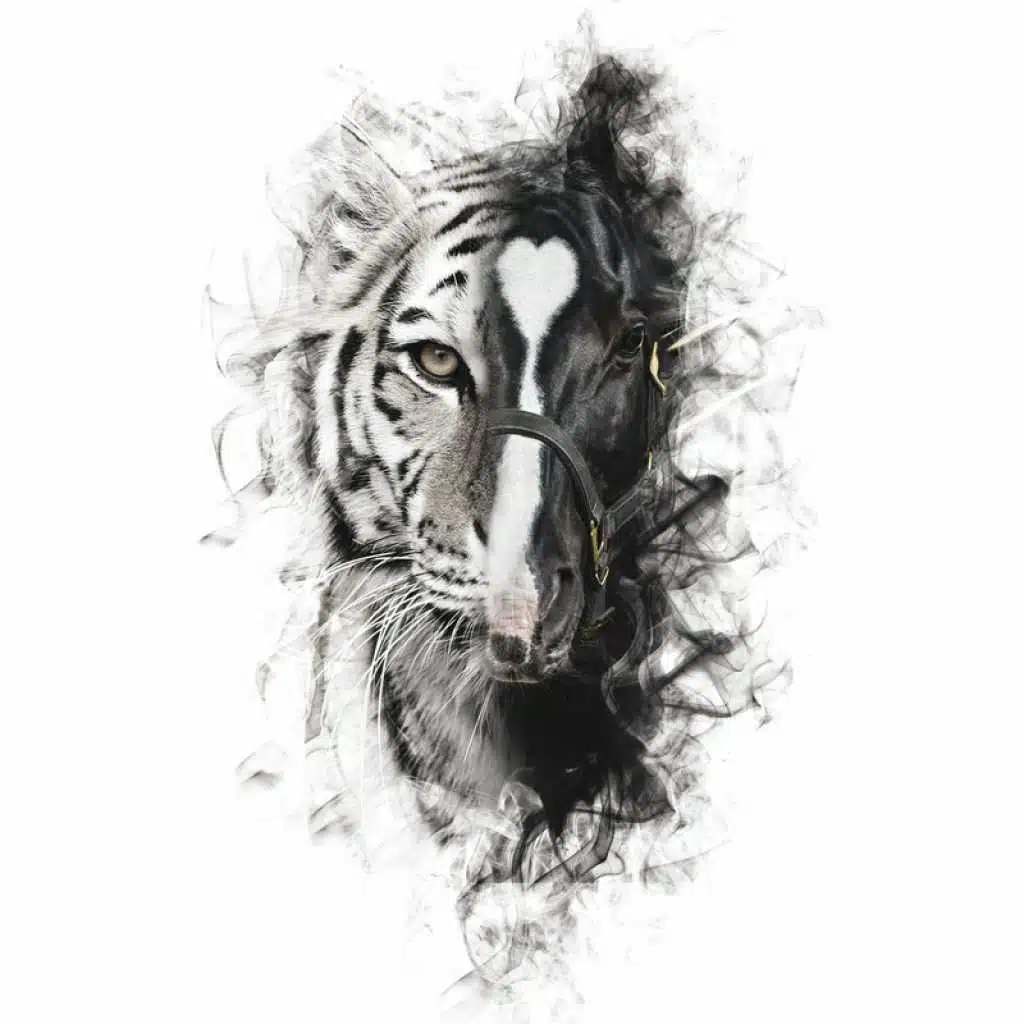 Para Sacarte De Mi Vida (feat. Los Tigres Del Norte)