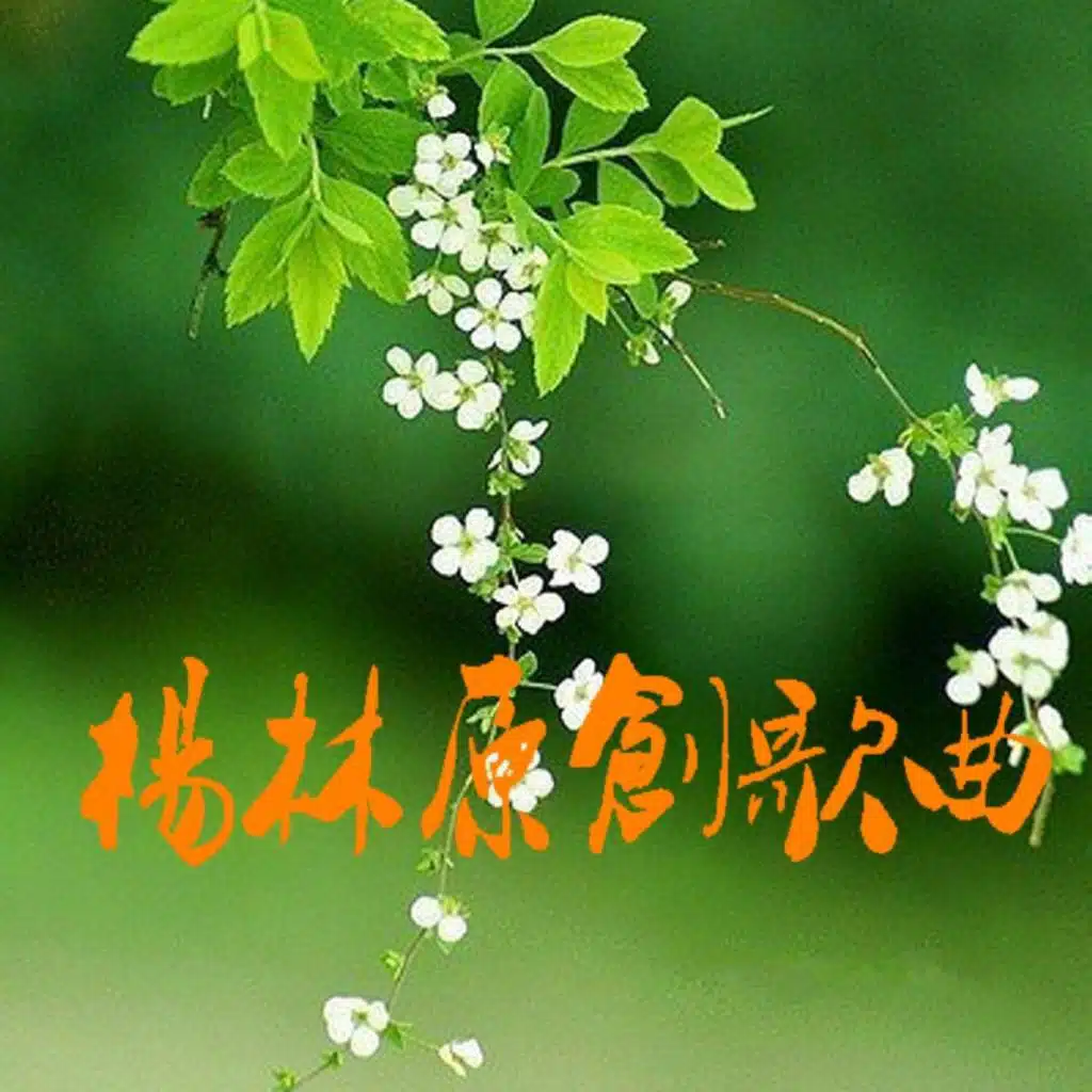 杨林原创歌曲精选