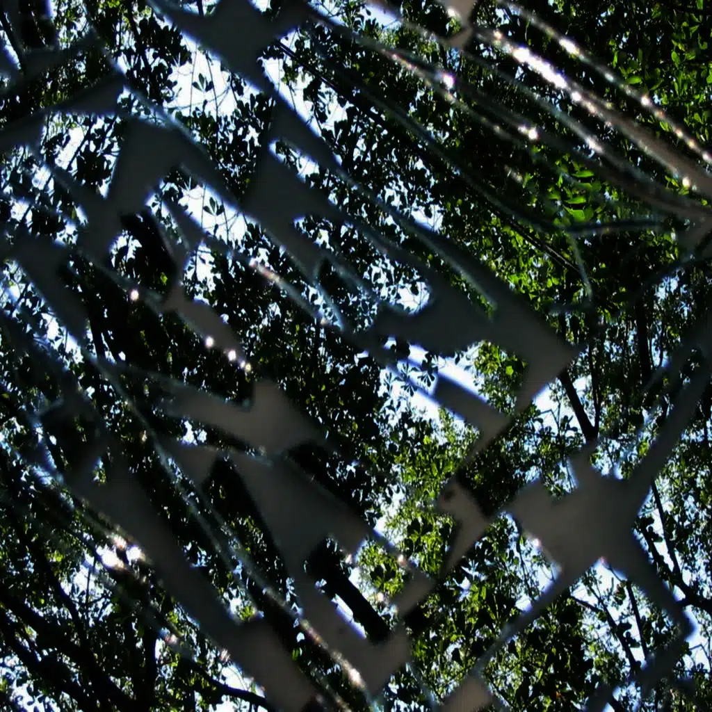 Systems of Listening