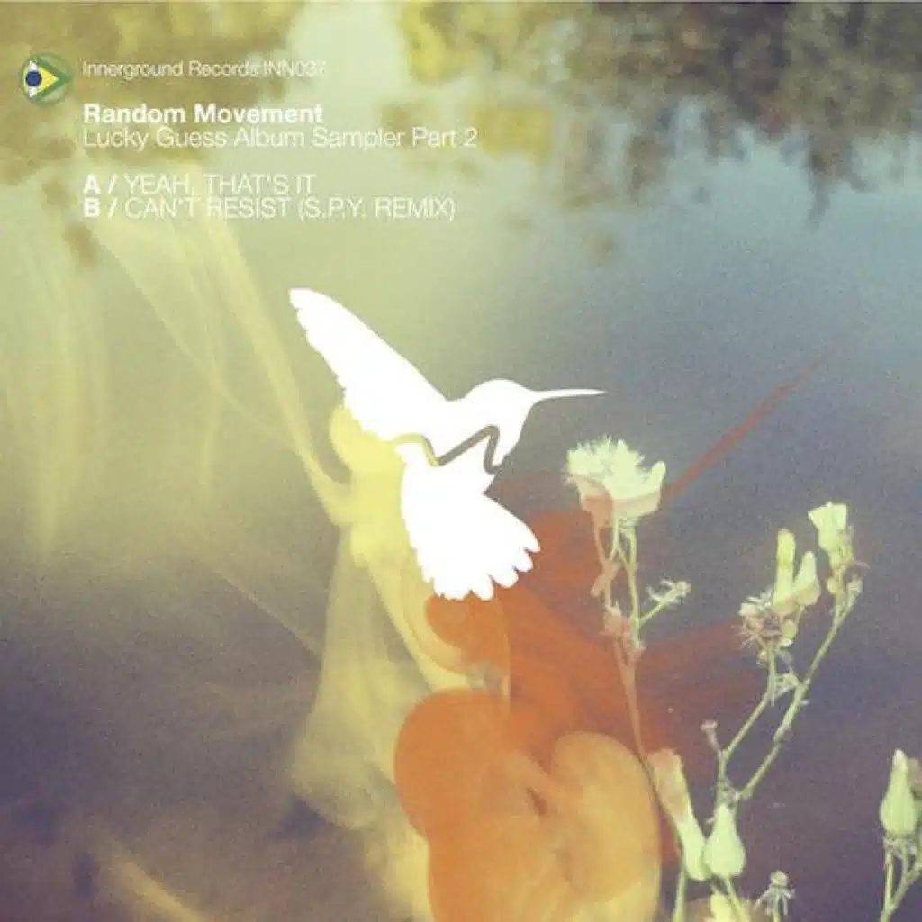 Lucky Guess Album Sampler Part 2