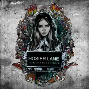 Hosier Lane 2016