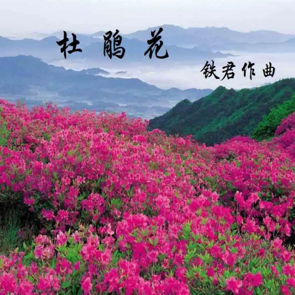 莎娜娜