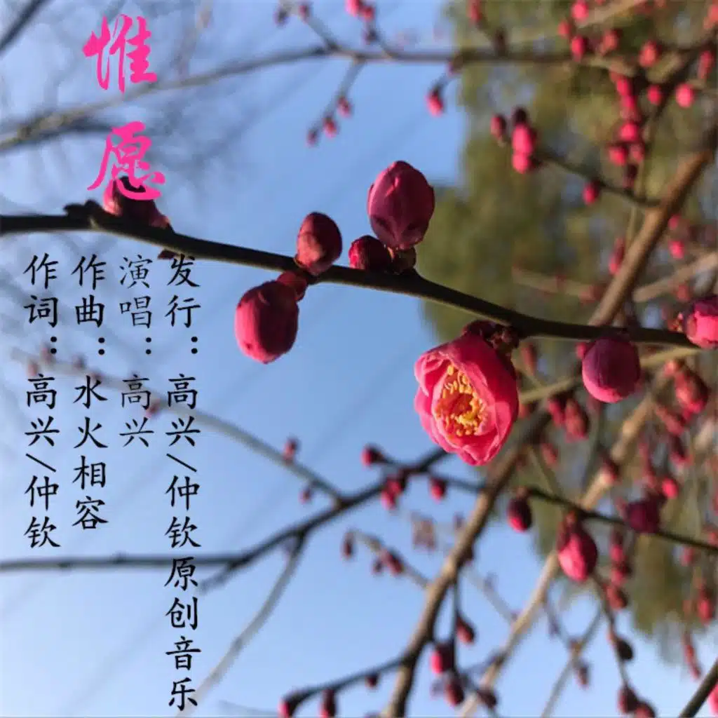 惟愿 (男版)