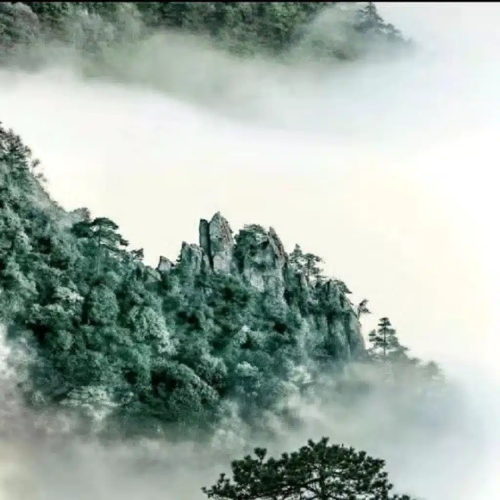 子夜心雨